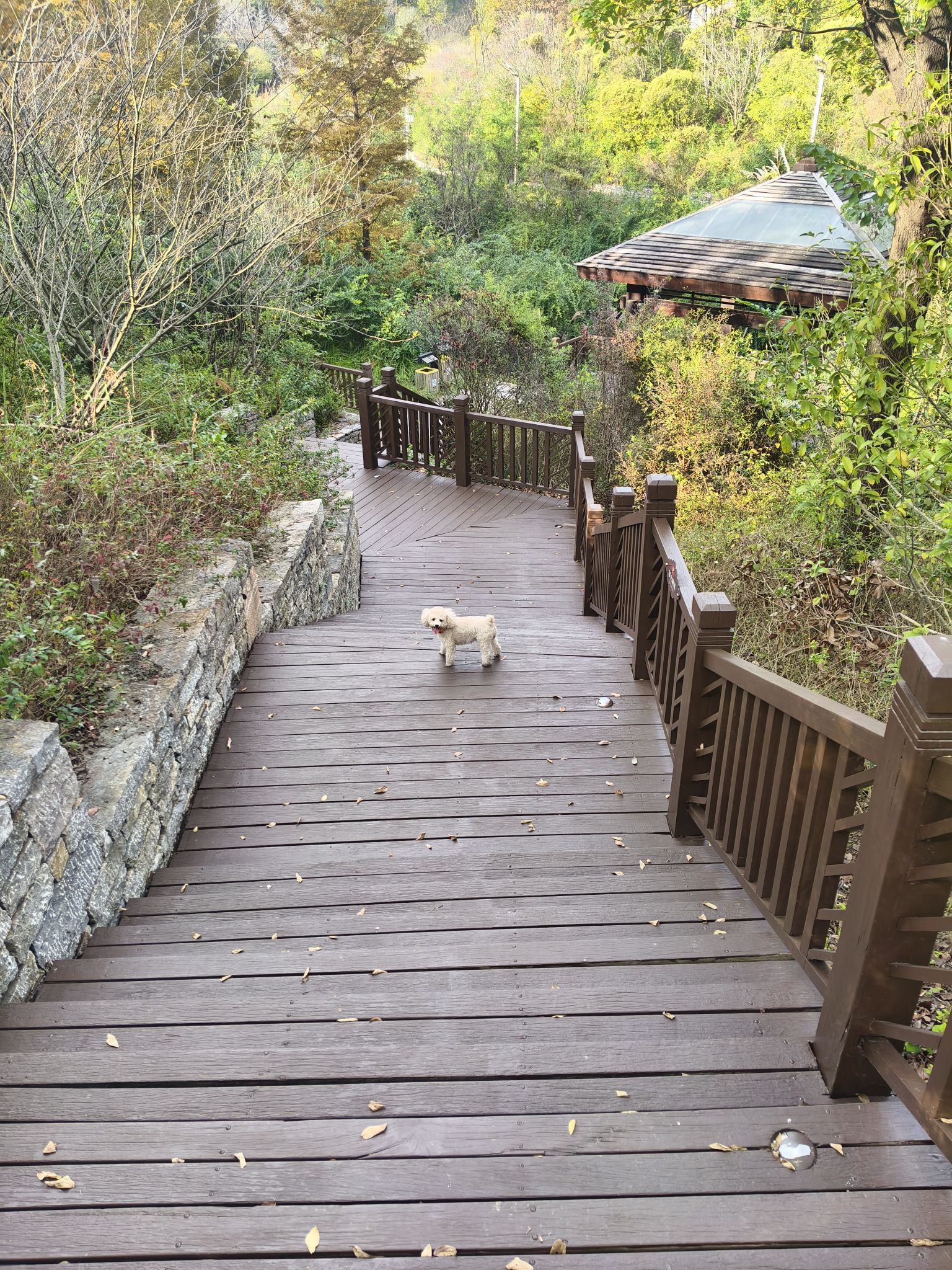 双龙生态公园旅行图片 2