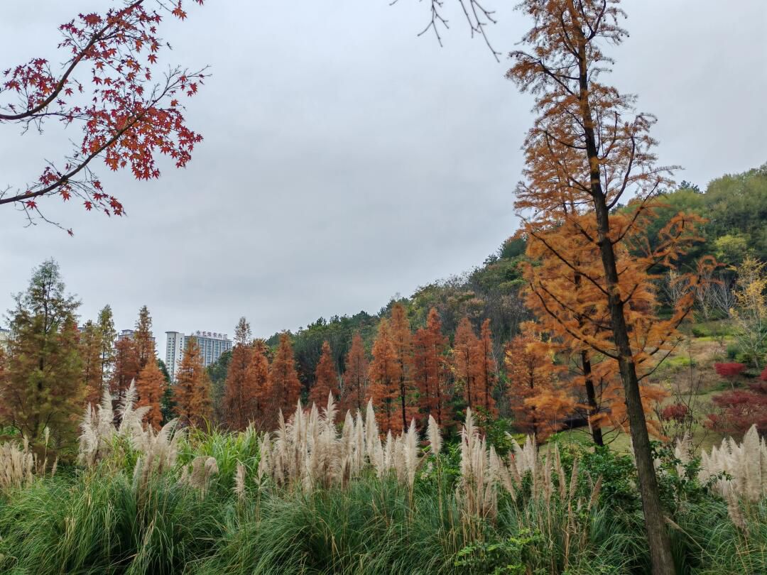 双龙生态公园旅行图片 3