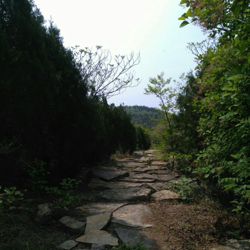 绿道高山景区旅行图片 1