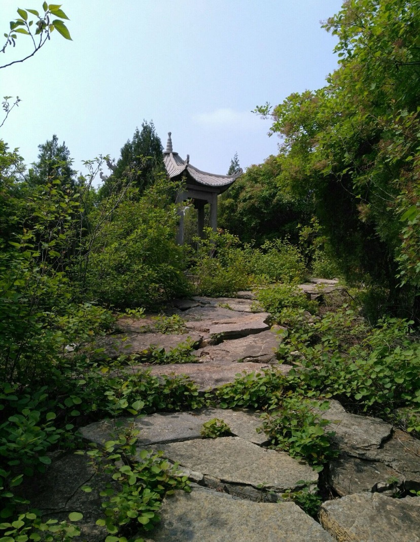 绿道高山景区旅行图片 2