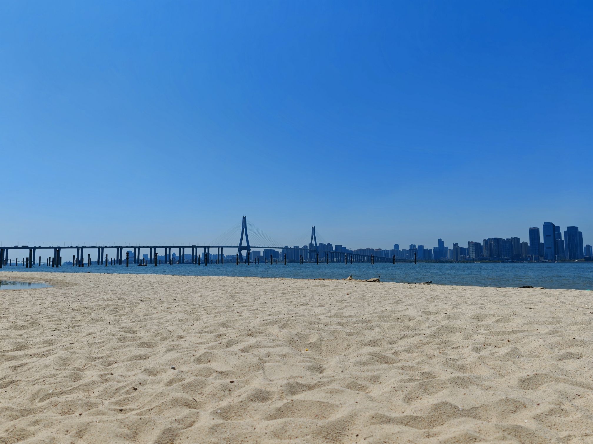 湛江奥林匹克中心五环广场旅行图片 3