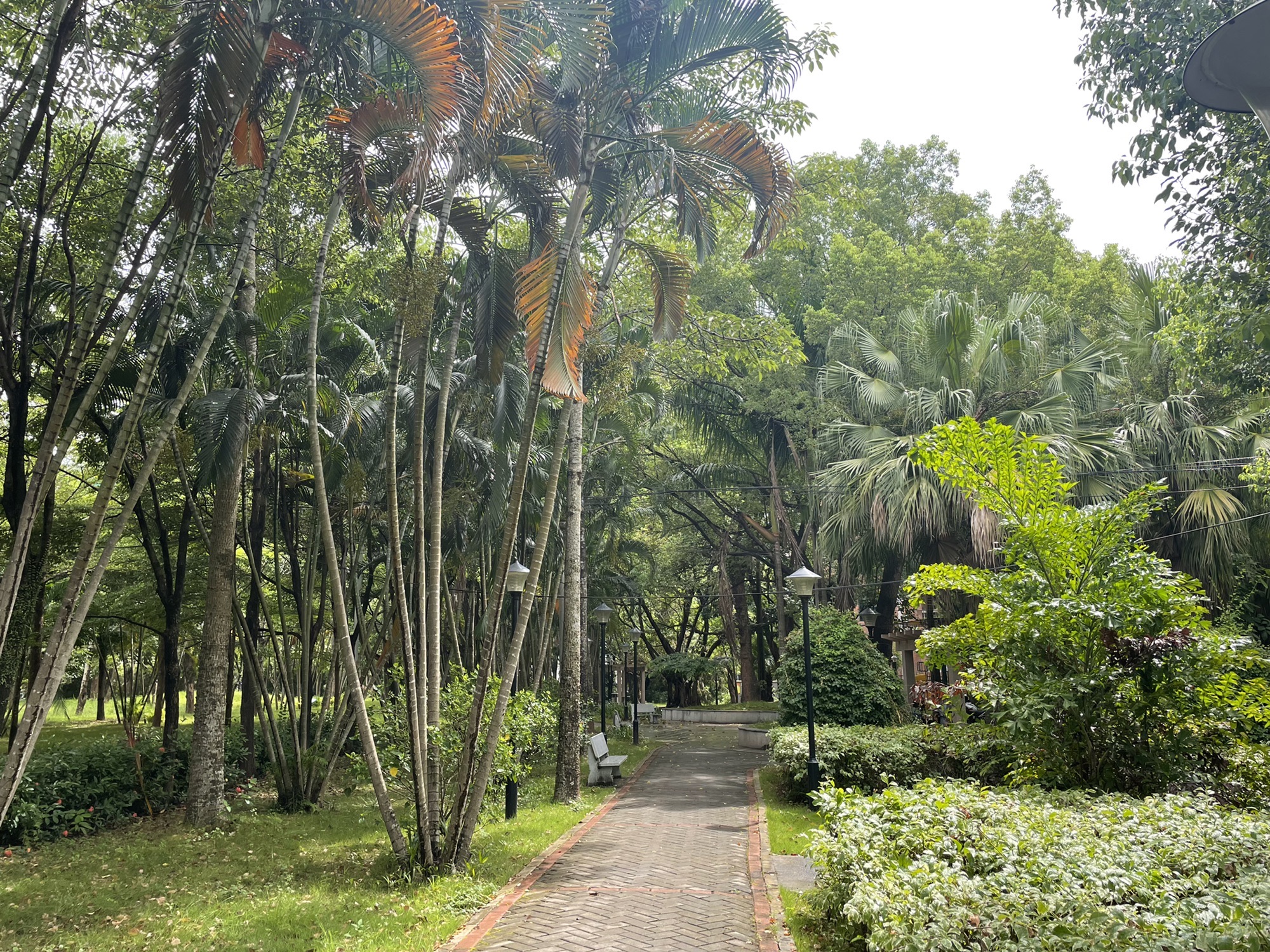鲤麻岭公园旅行图片 2