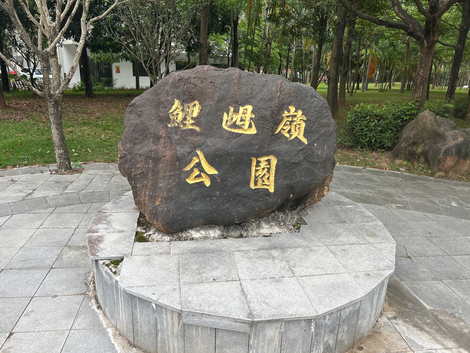 鲤麻岭公园旅行图片 1