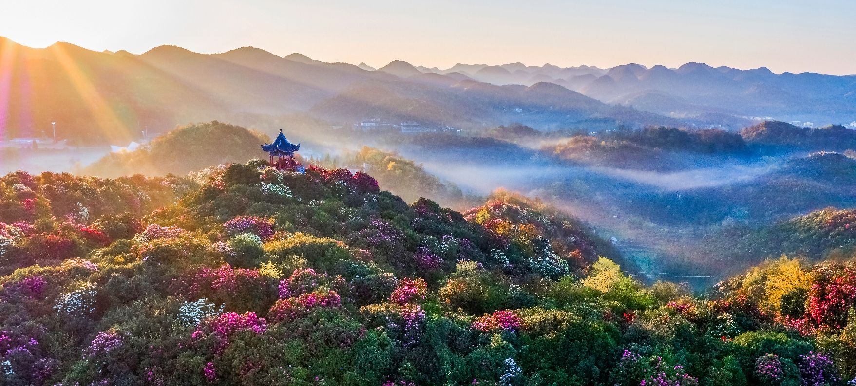 百里杜鹃普底景区