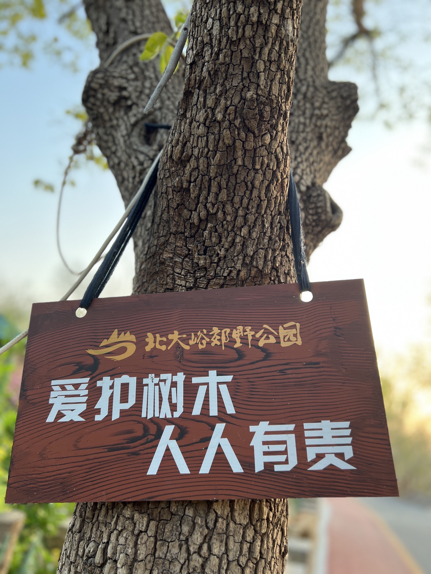 北大峪郊野公园