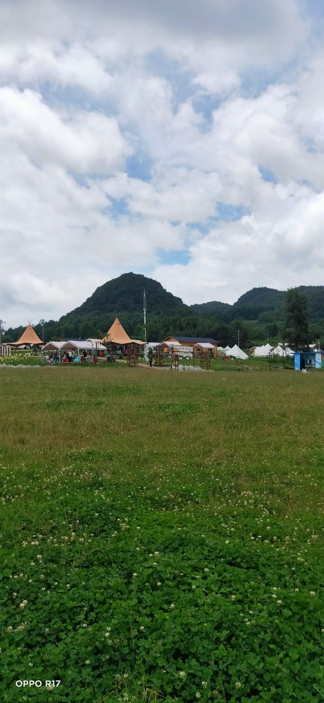 山泉湿地公园旅行图片 1