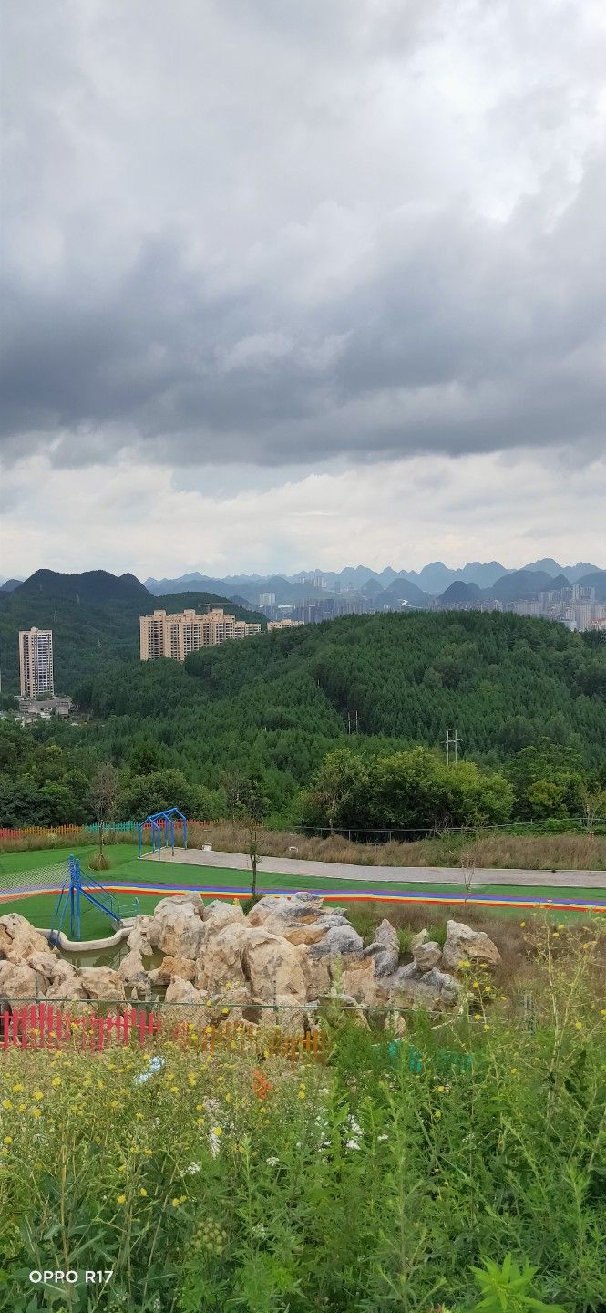 山泉湿地公园旅行图片 3