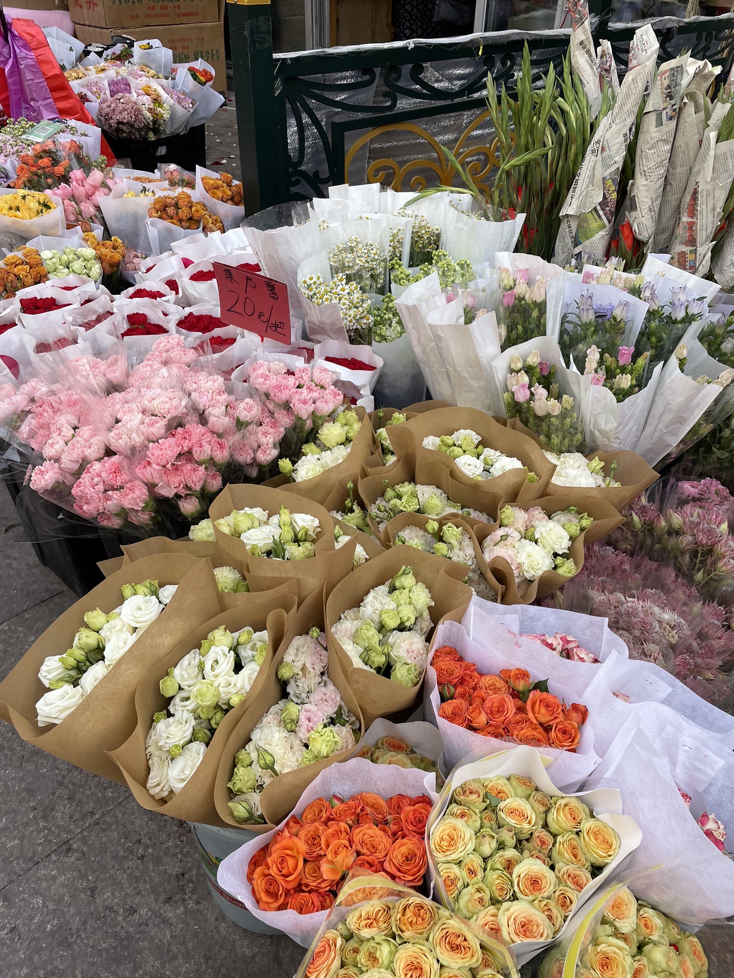 曹庄花卉植物园旅游区旅行图片 1
