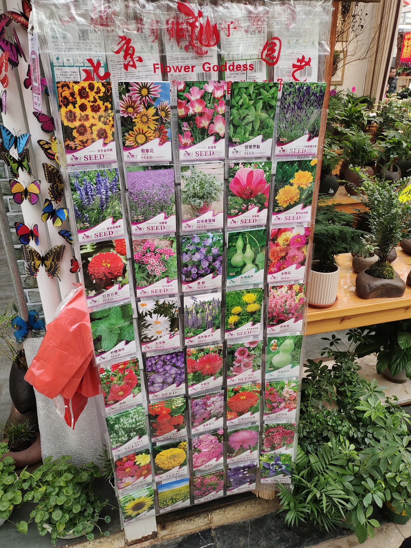 曹庄花卉植物园旅游区旅行图片 3