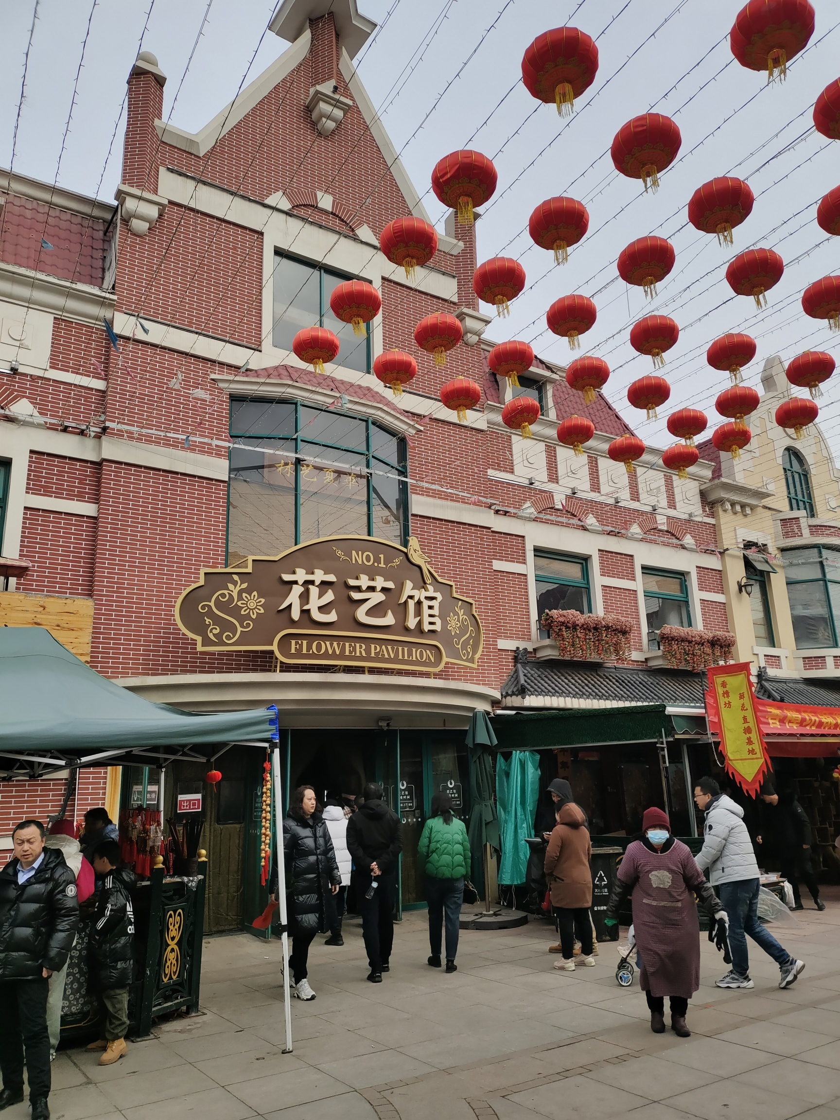 曹庄花卉植物园旅游区旅行图片 1