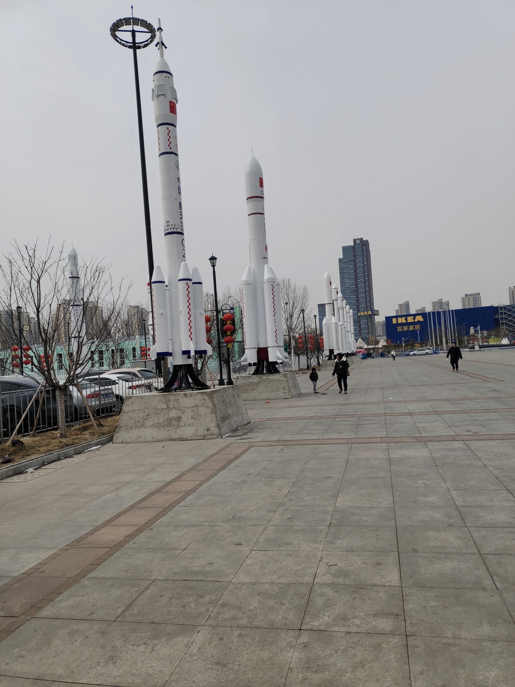 曹庄花卉植物园旅游区旅行图片 2