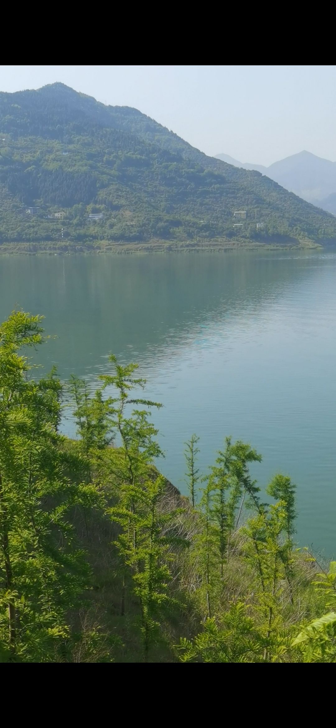 黄柏狮子岛旅行图片 3