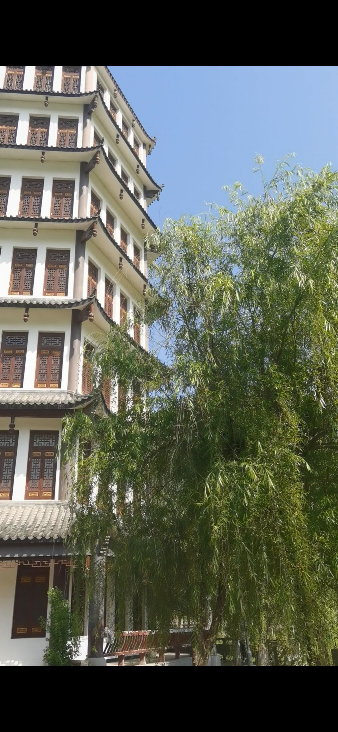 黄柏狮子岛旅行图片 2