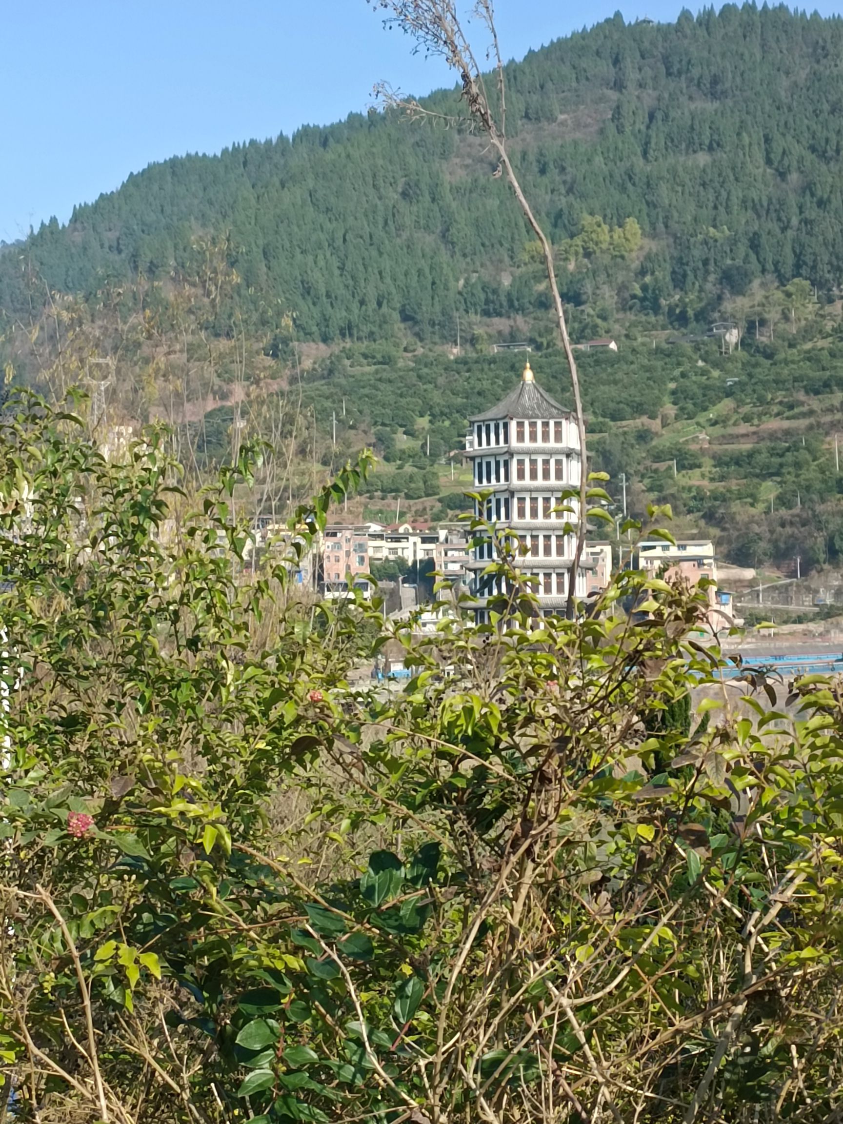 黄柏狮子岛旅行图片 2