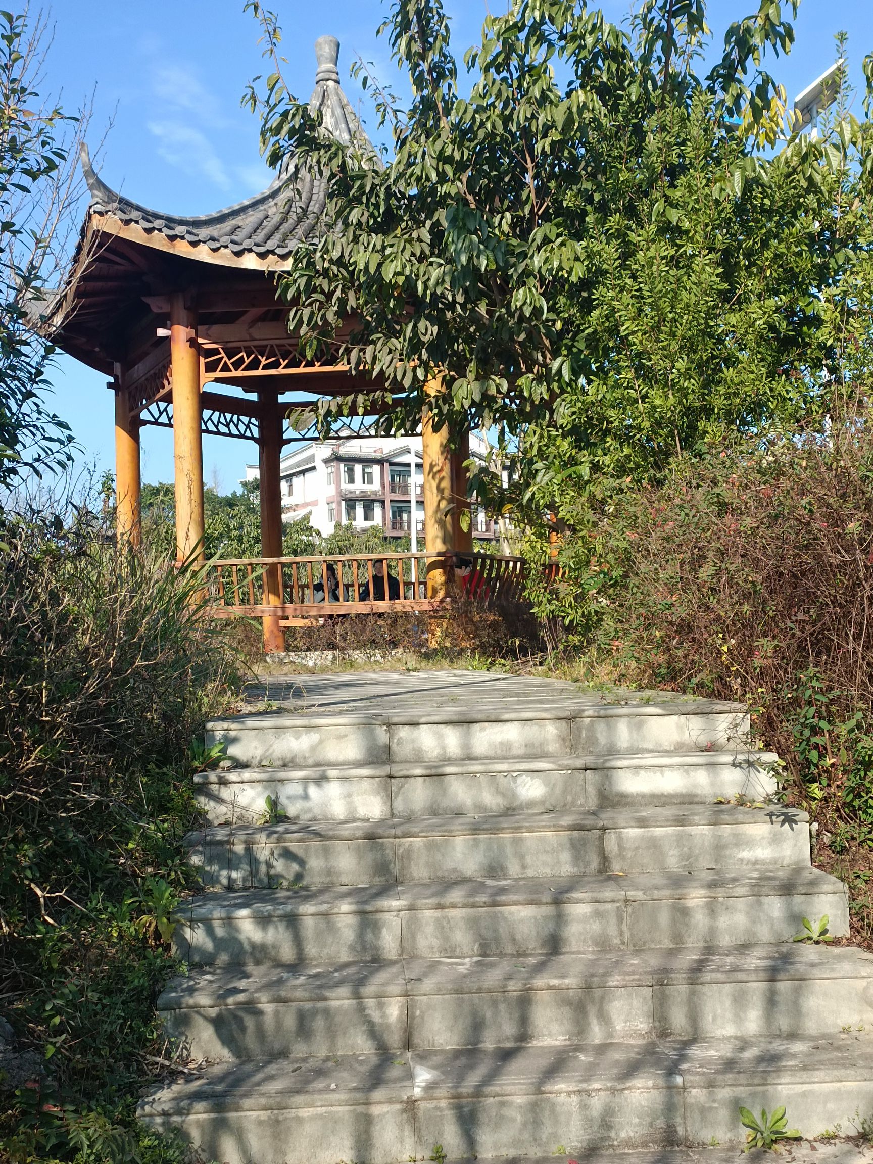 黄柏狮子岛旅行图片 1