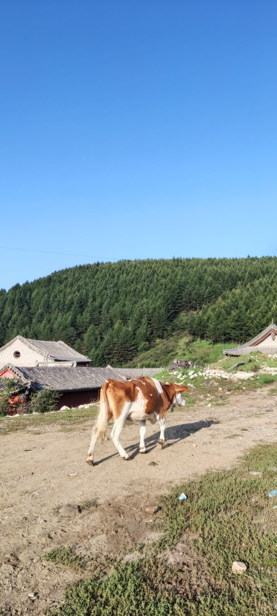狐爷山风景区旅行图片 3
