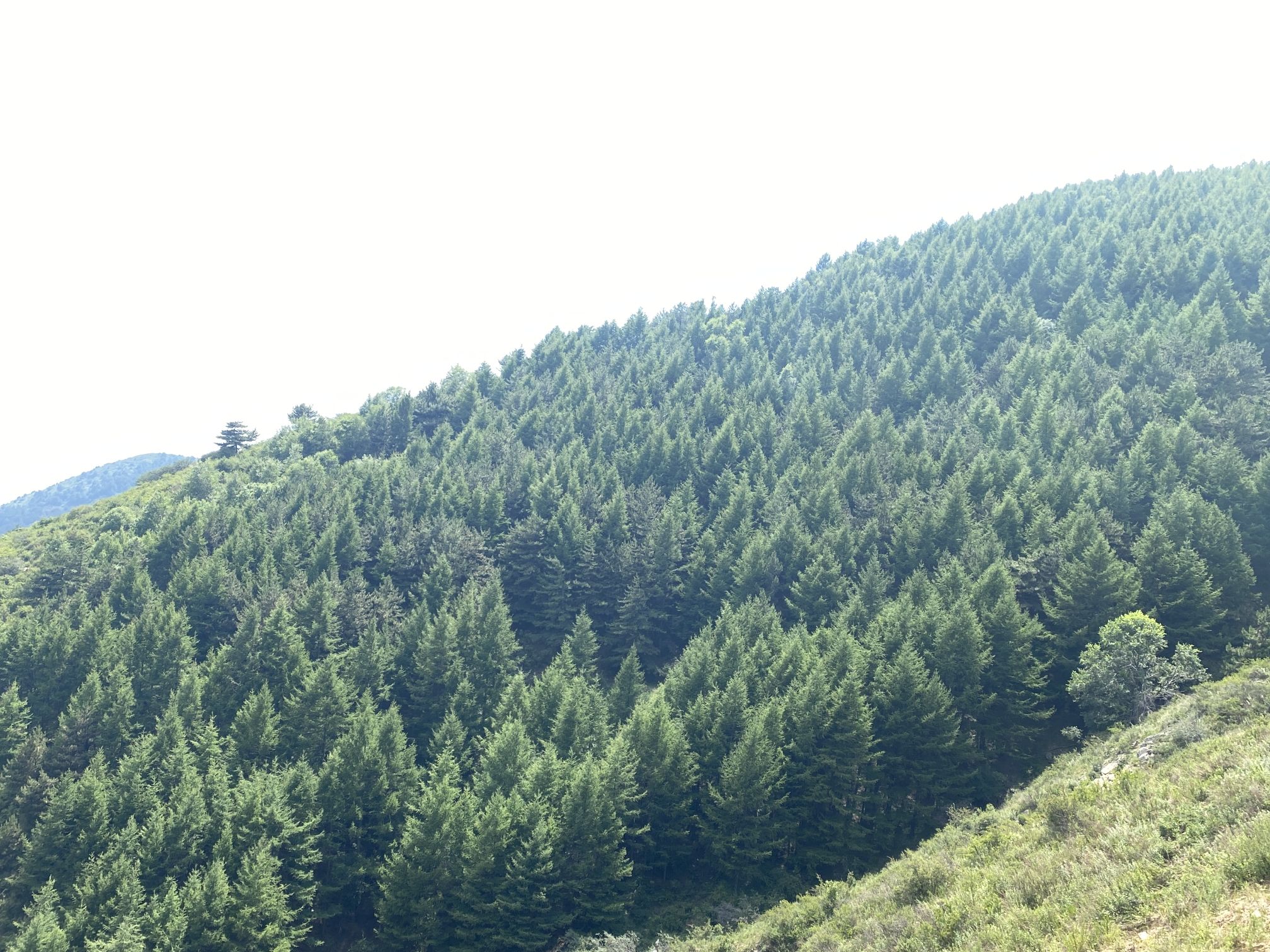 狐爷山风景区旅行图片 1