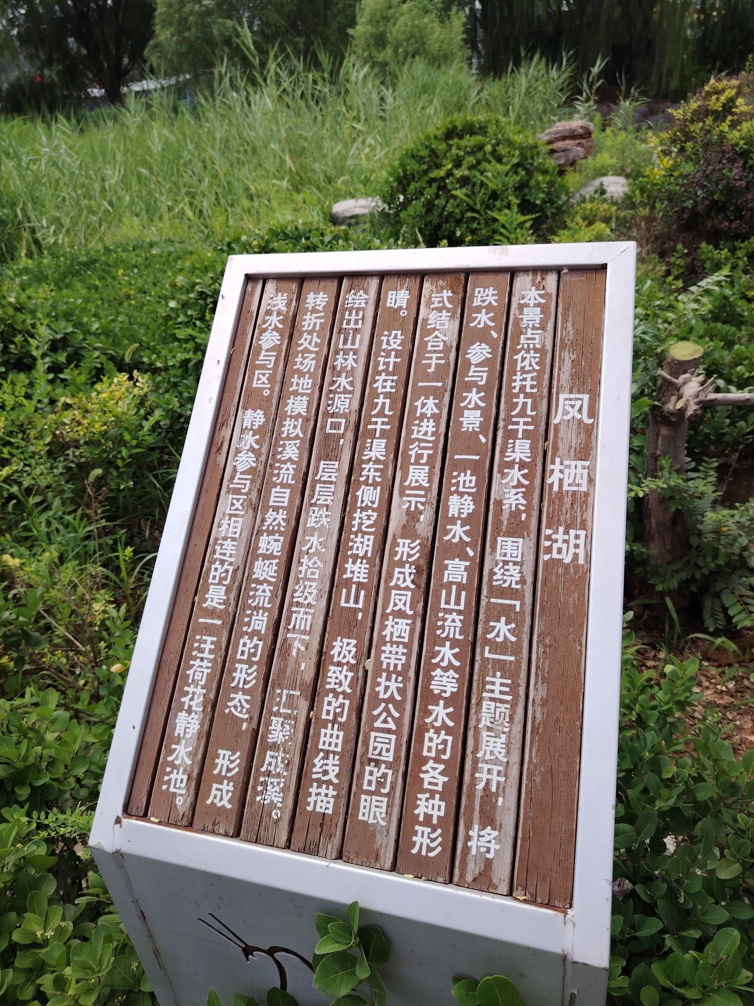 凤栖湖旅行图片 2