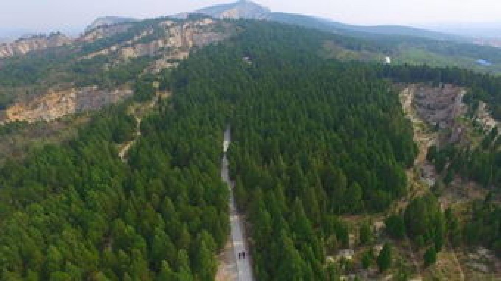 首阳山森林公园旅行图片 2