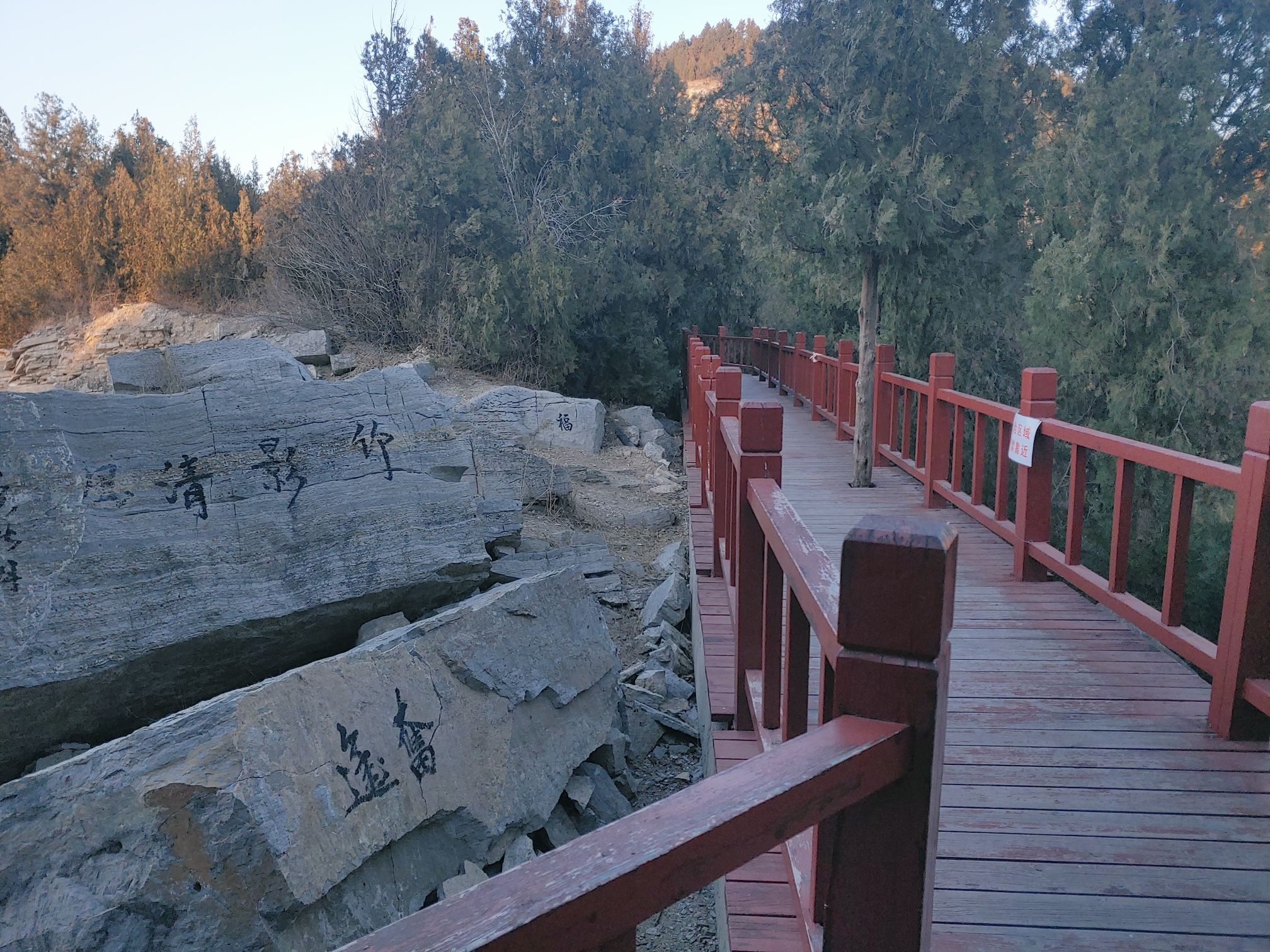 首阳山森林公园旅行图片 1