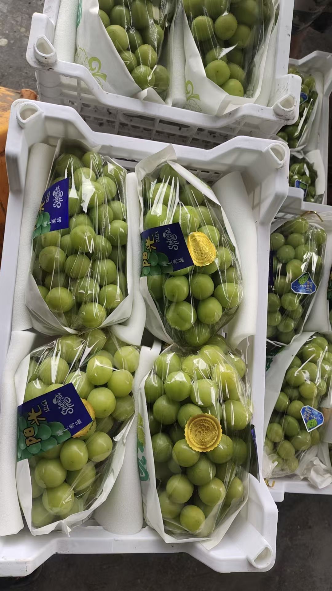 海吉星农产品批发市场果品六区