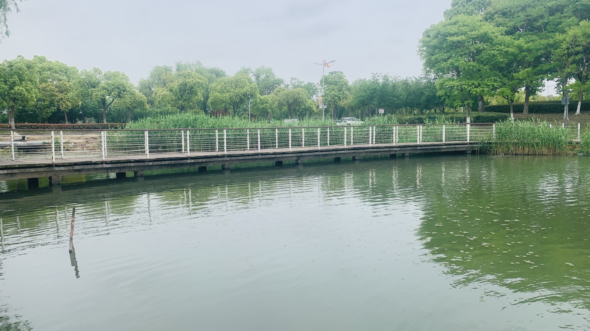盈湖公园旅行图片 1