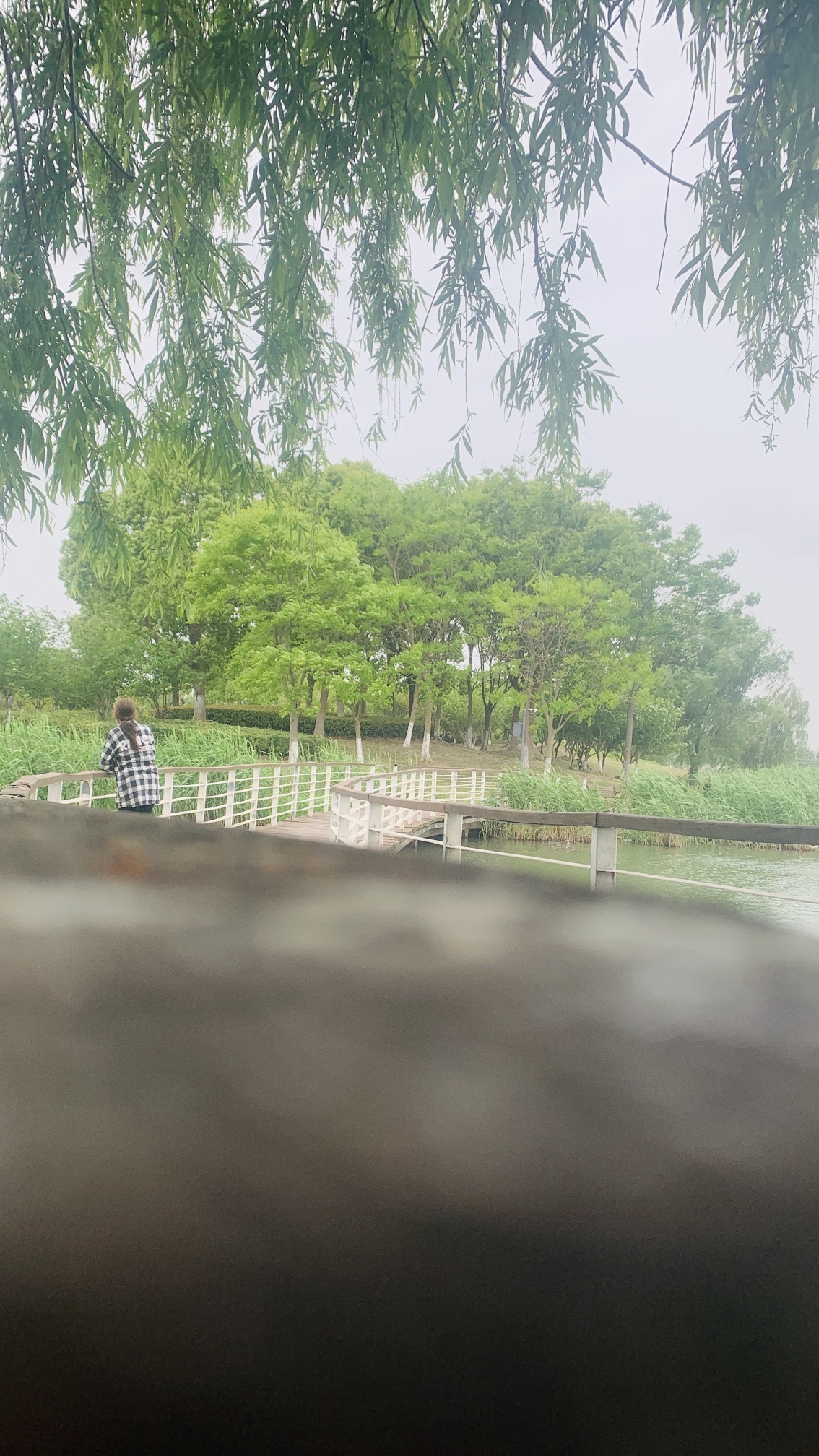 盈湖公园旅行图片 2