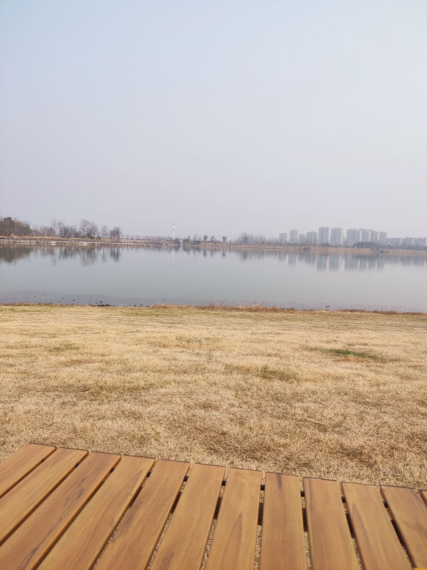 少荃湖公园旅行图片 1