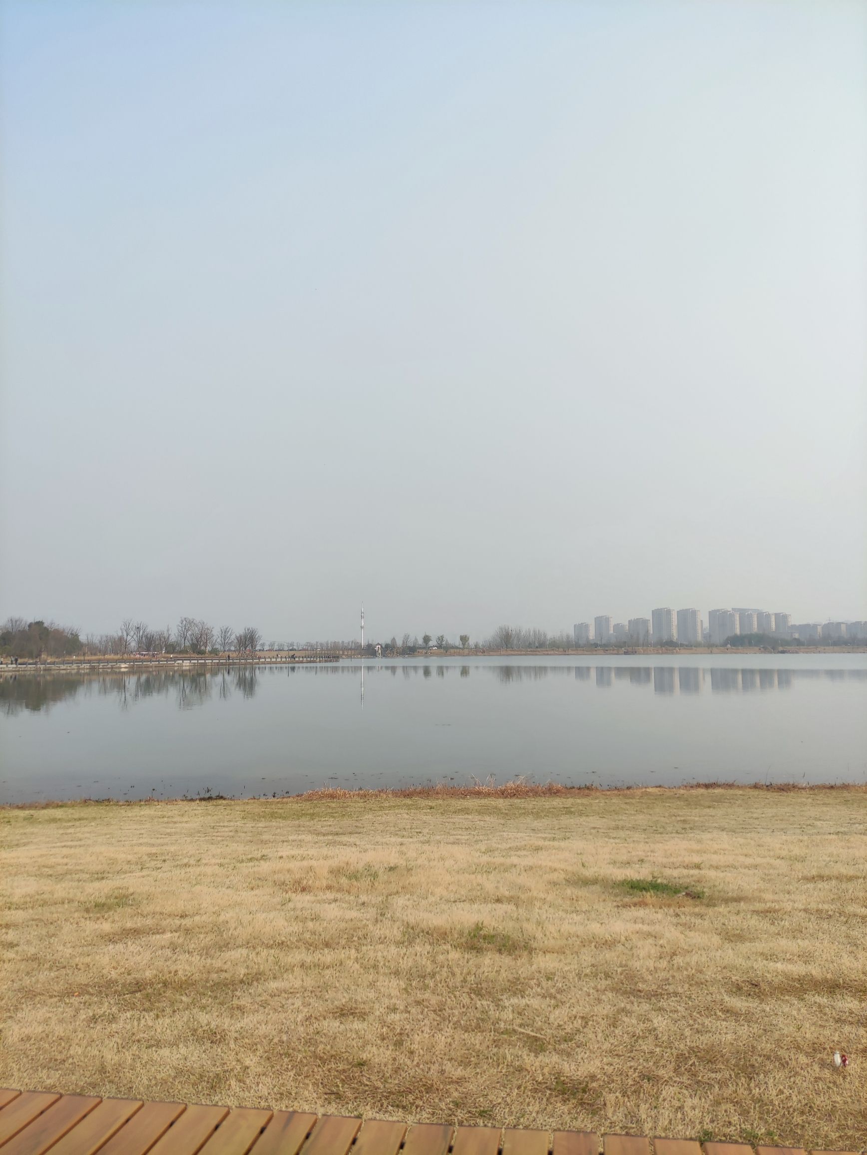 少荃湖公园旅行图片 3
