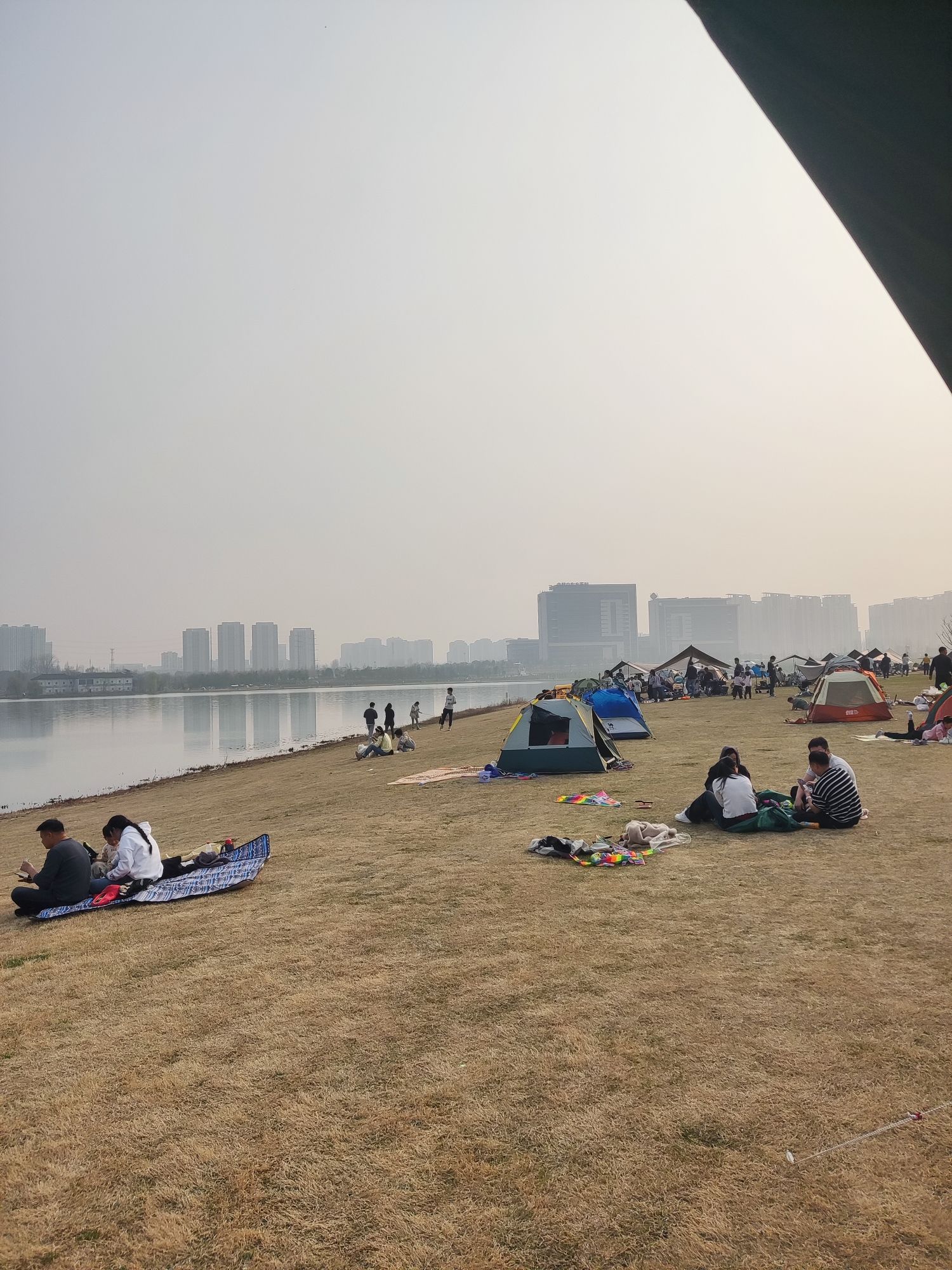 少荃湖公园旅行图片 2