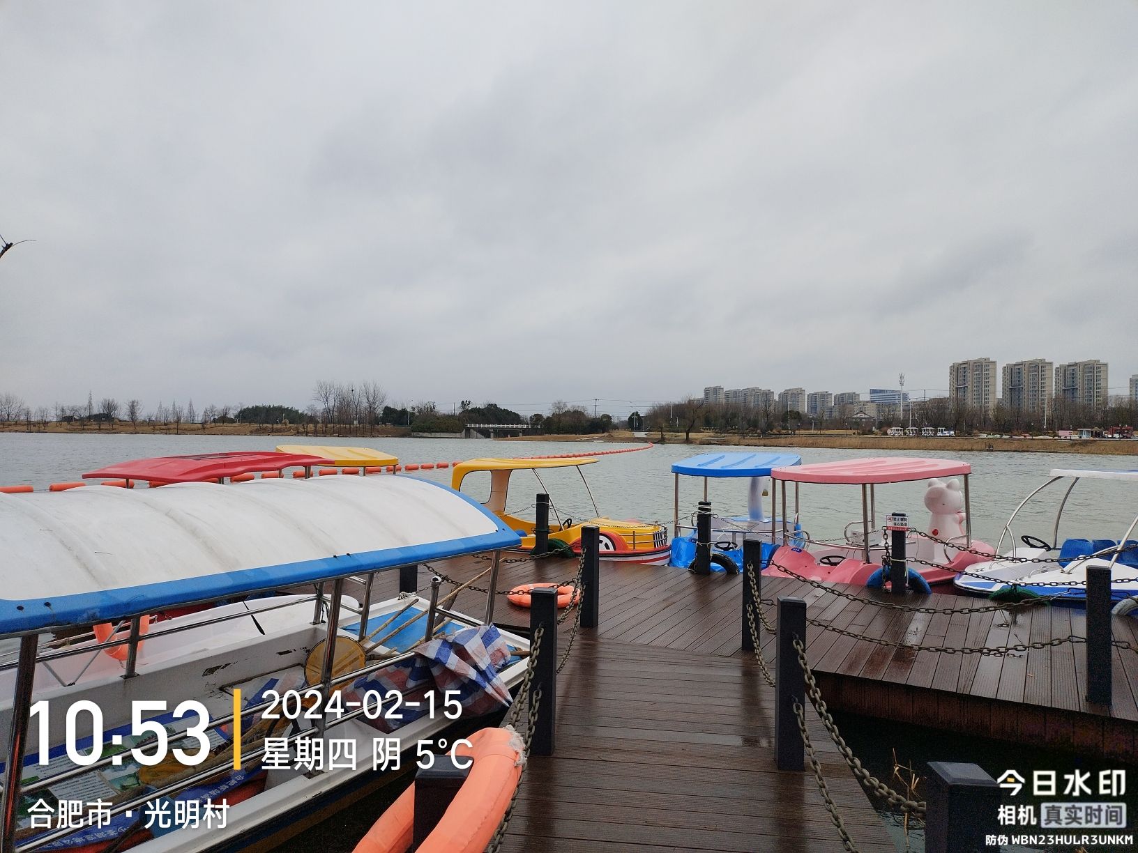 少荃湖公园旅行图片 3