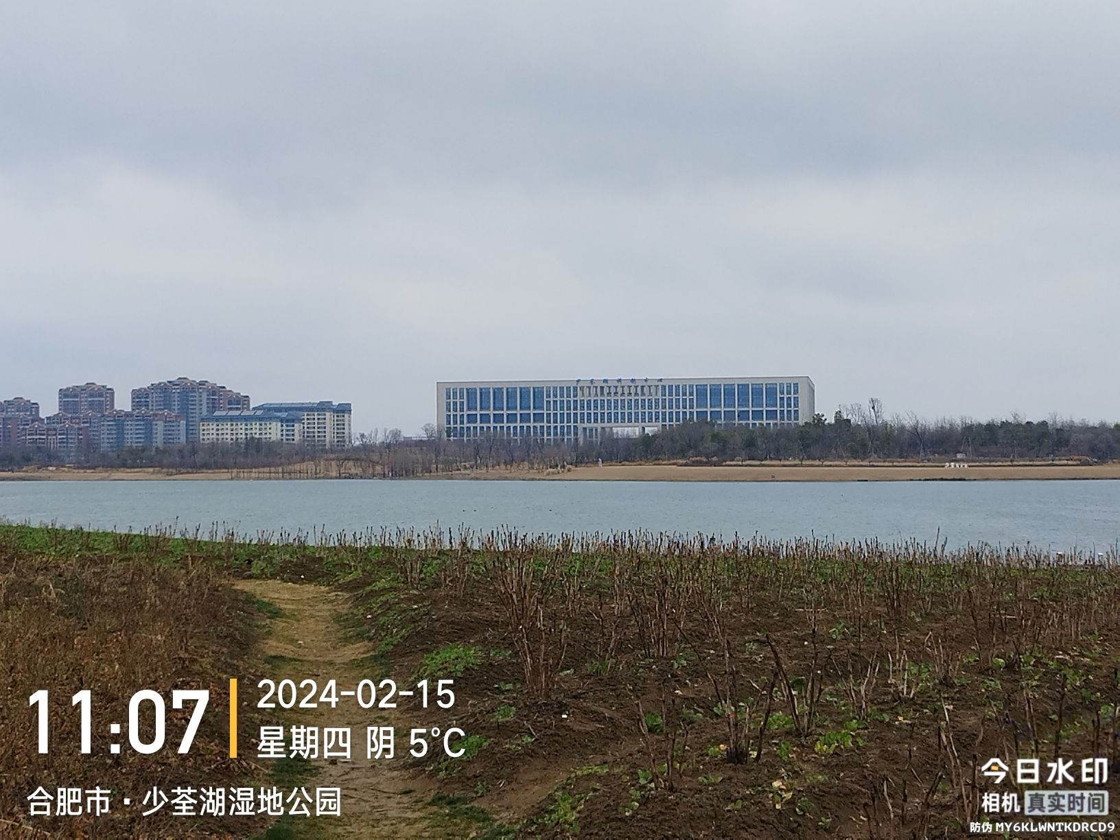 少荃湖公园旅行图片 2