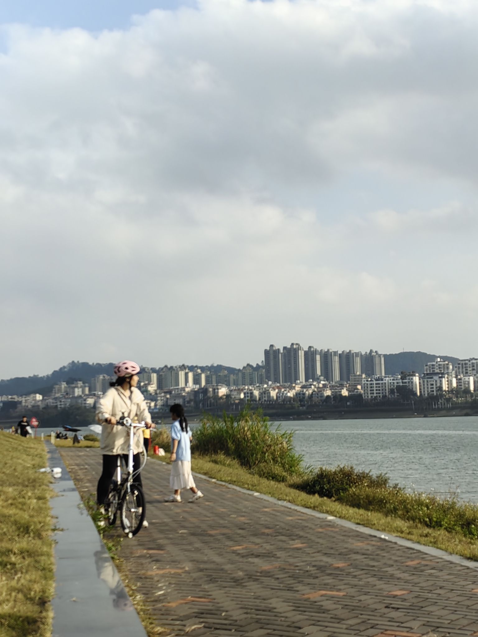 柳沙公园旅行图片 3