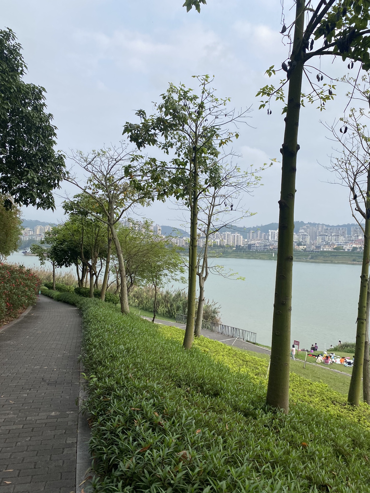 柳沙公园旅行图片 2