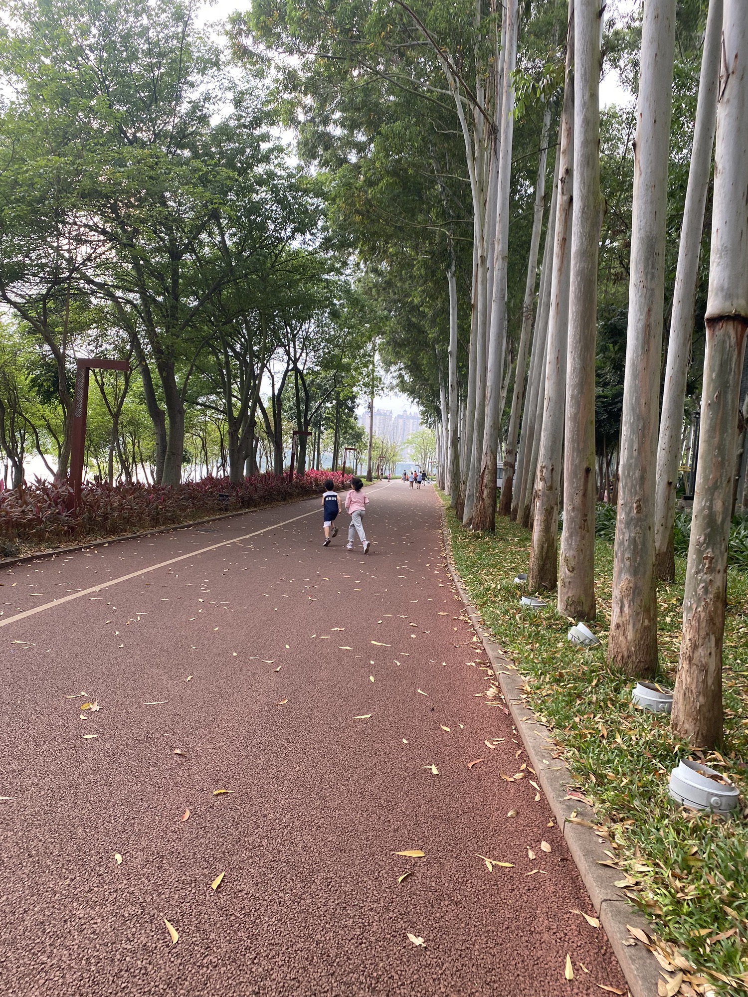 柳沙公园旅行图片 3