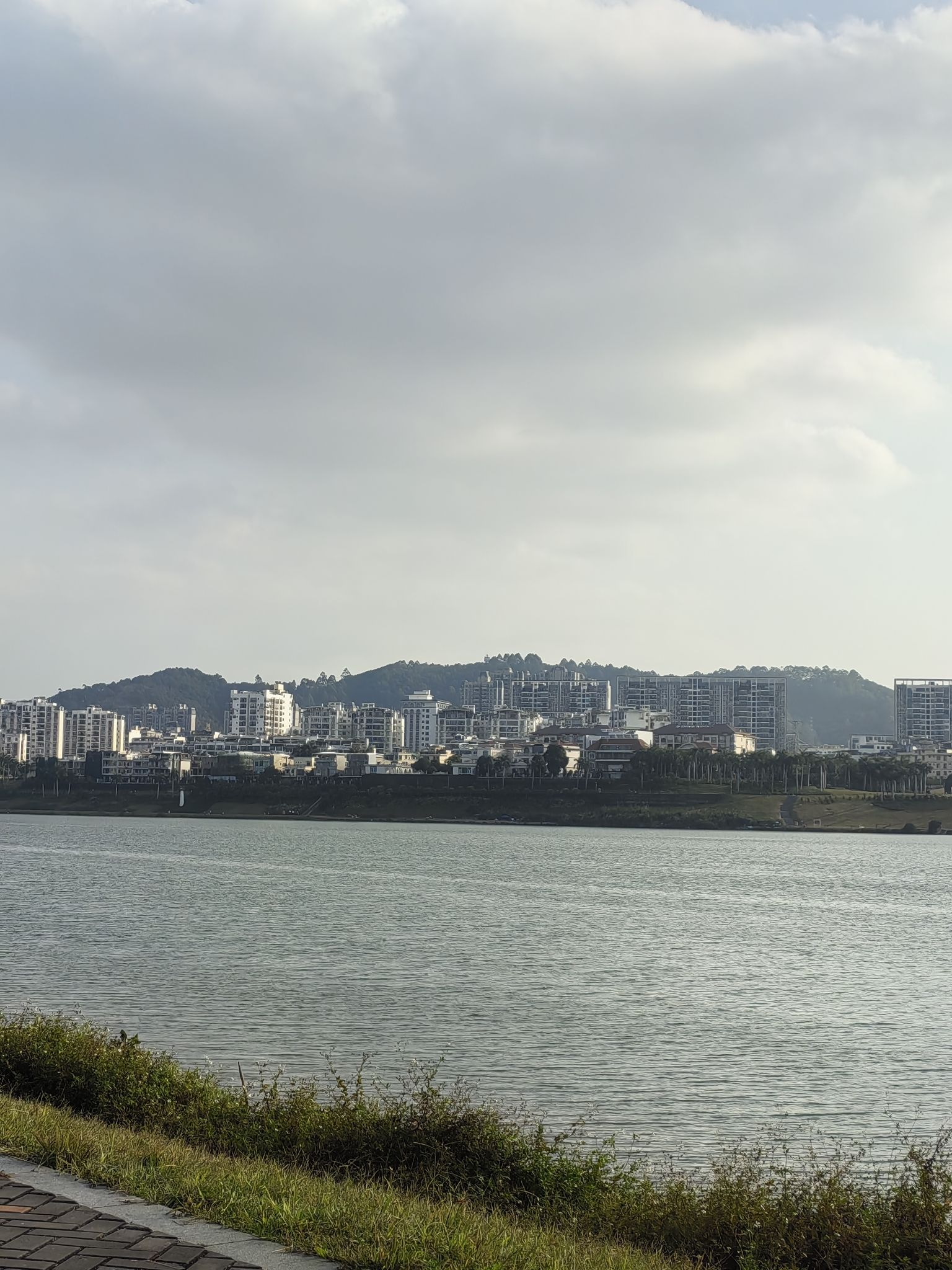 柳沙公园旅行图片 2