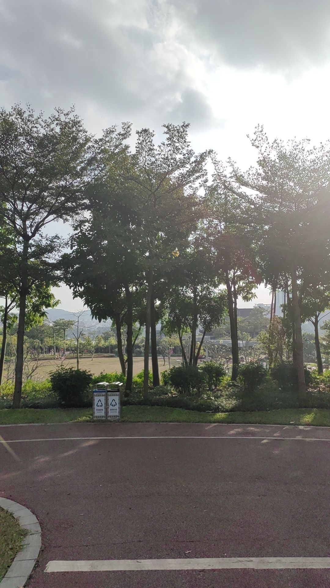 柳沙公园旅行图片 1