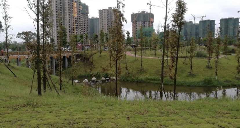 滨河公园旅行图片 3