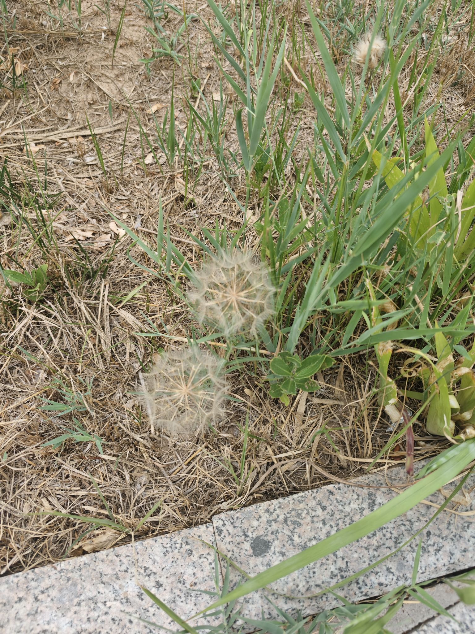 兴海广场旅行图片 2
