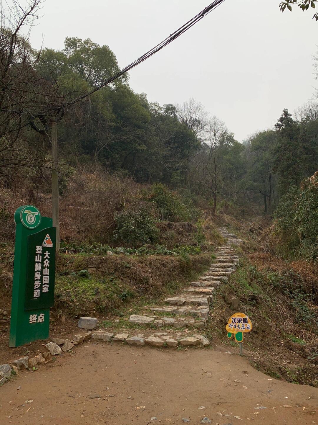 大众山森林公园旅行图片 2