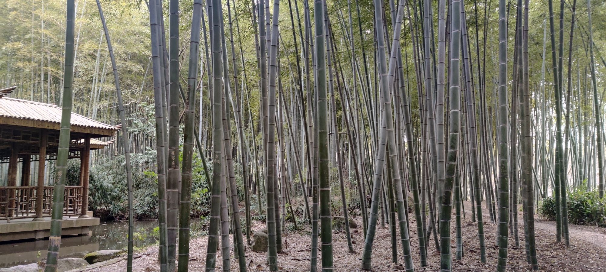 虎丘山风景名胜区-水筼筜谷