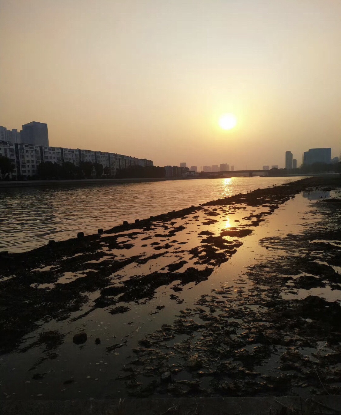 大运河·法国公园旅行图片 3