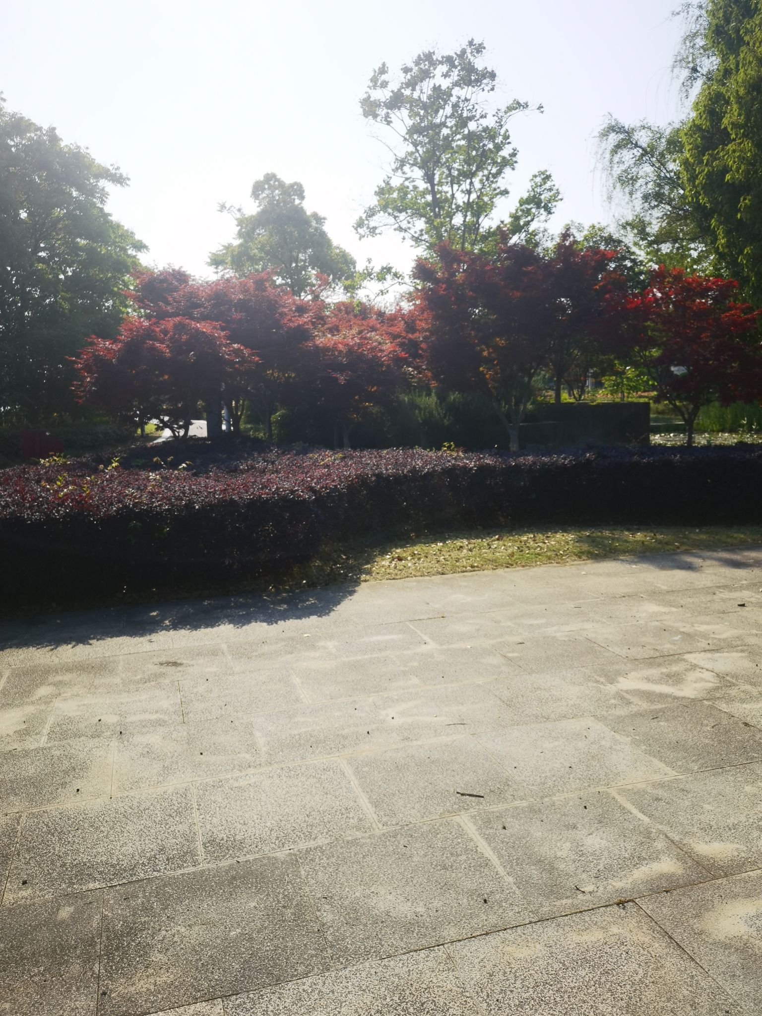 大运河·法国公园旅行图片 2