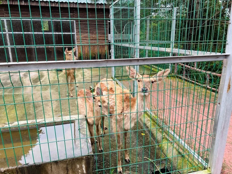 仙盖山旅游景区旅行图片 3