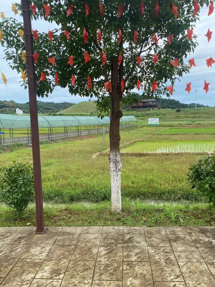 仙盖山旅游景区旅行图片 2