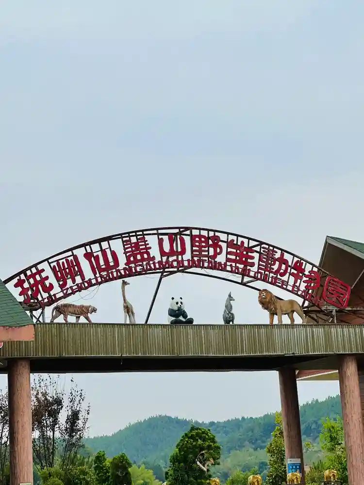 仙盖山旅游景区旅行图片 1