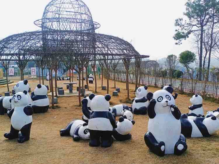 仙盖山旅游景区旅行图片 2