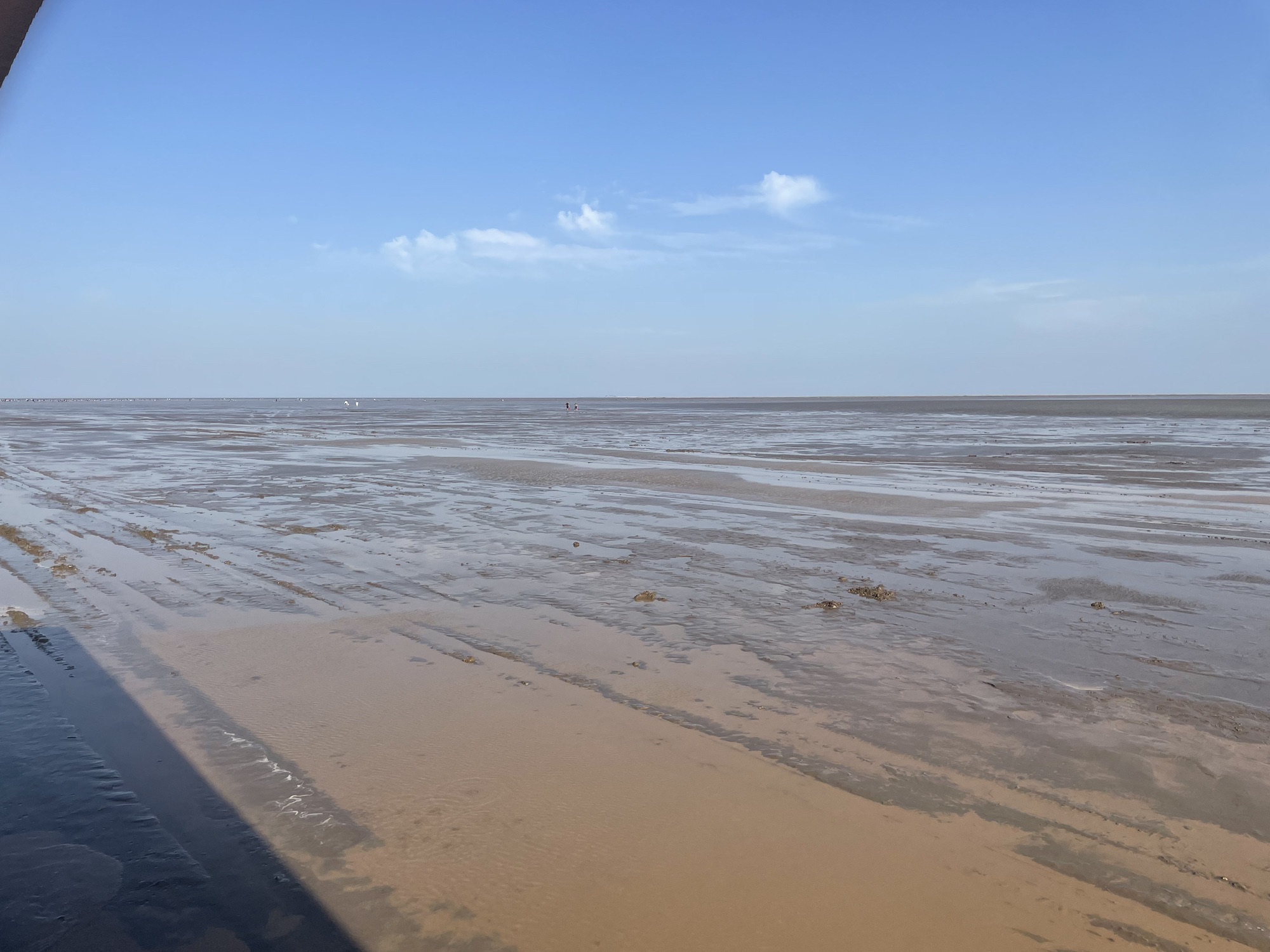 东营金泥湾旅行图片 1