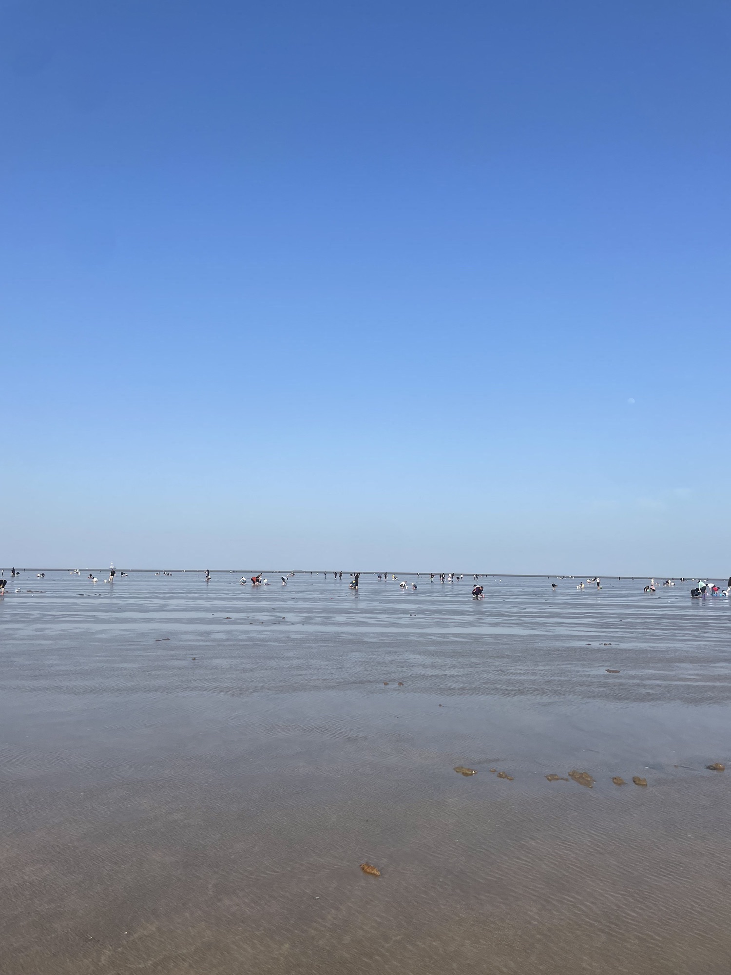 东营金泥湾旅行图片 3