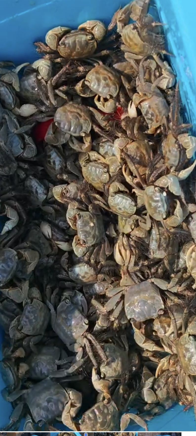 东营金泥湾旅行图片 3